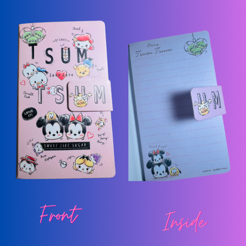 Mini Magnetic Notebooks